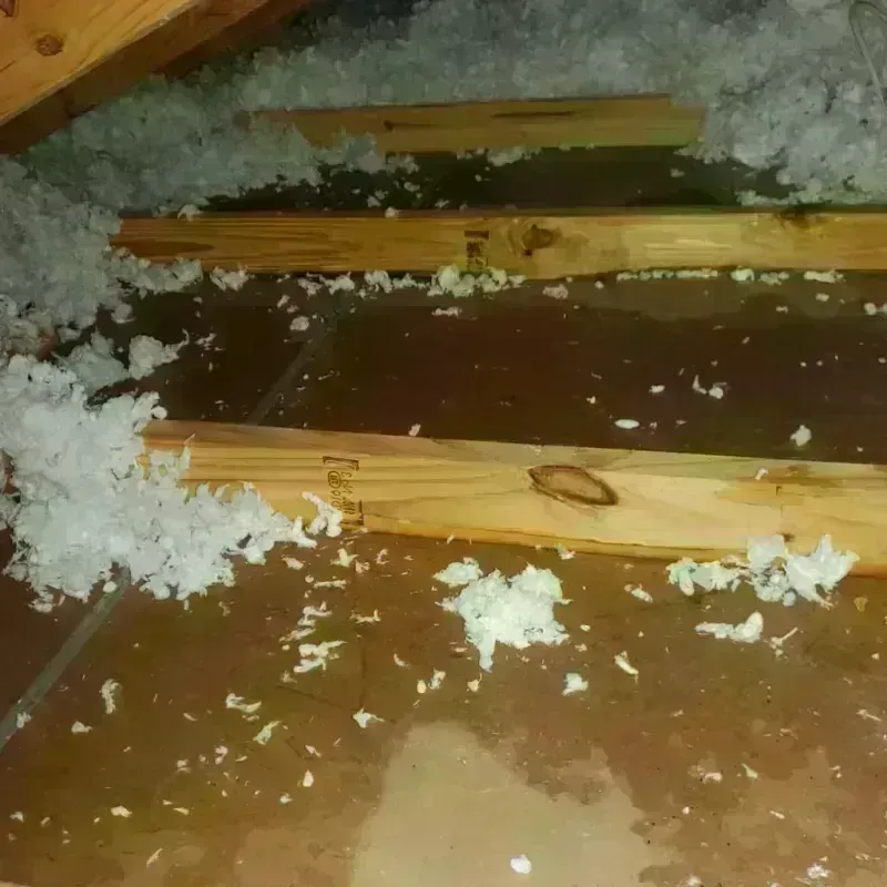 Attic Water Damage in Seagate, NC